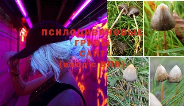 ALPHA PVP Вязники
