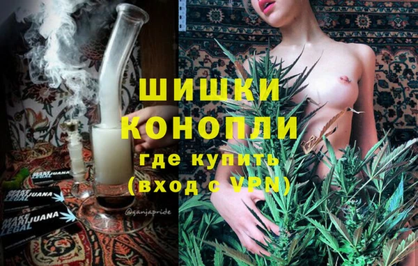 мяу мяу мука Вязьма