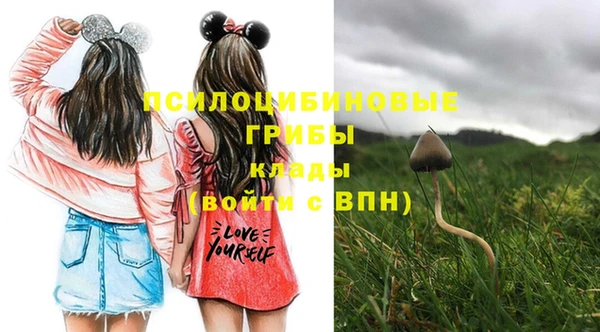 мяу мяу мука Вязьма