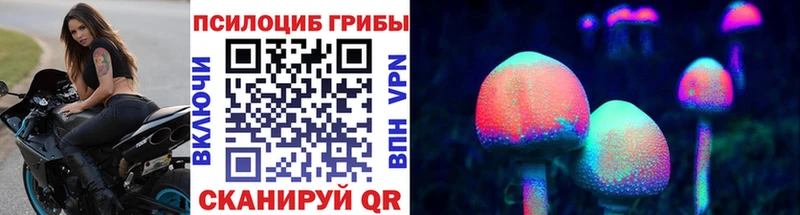 Купить где Беслан Галлюциногенные грибы Cubensis